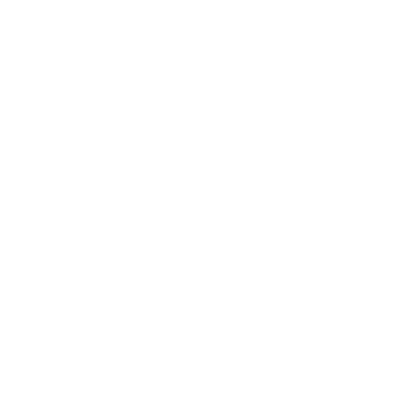 Nine Circles Logo